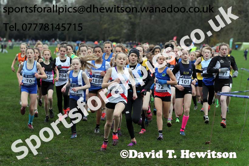 Girls under-13s, British Athletics Liverpool Cross Challenge, Sefton Park, Liverpool. Photo: David T. Hewitson/Sports for All Pics